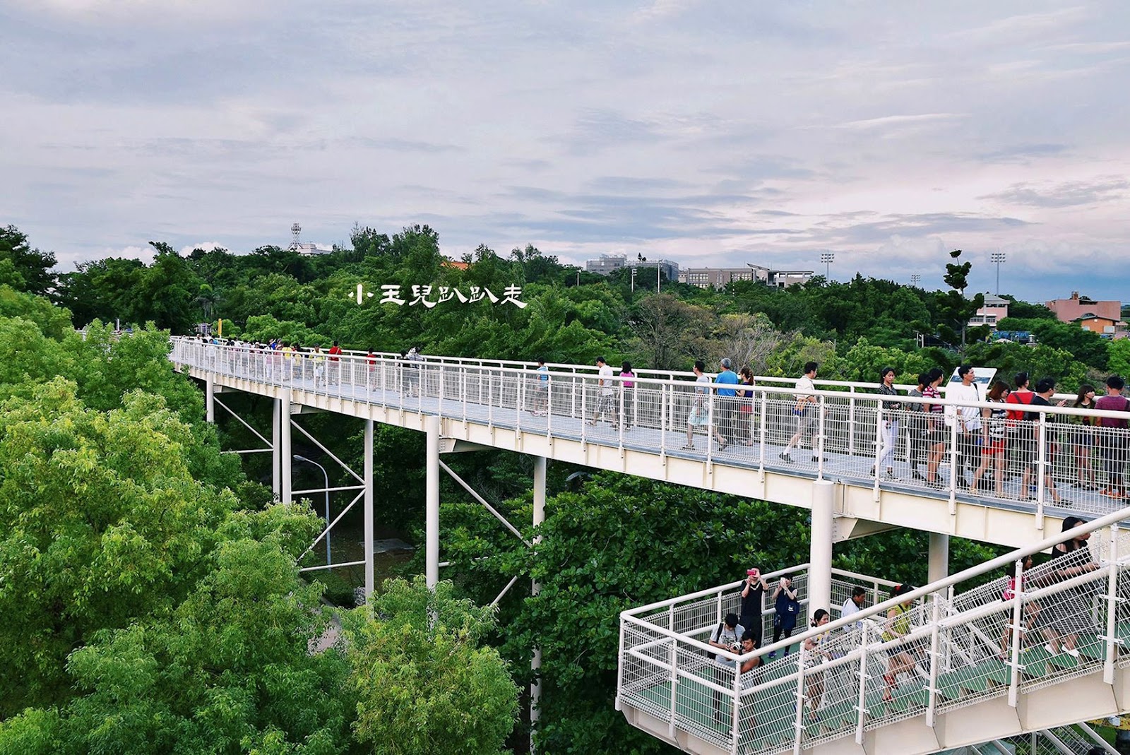 八卦山天空步道架空木棧道穿越森林