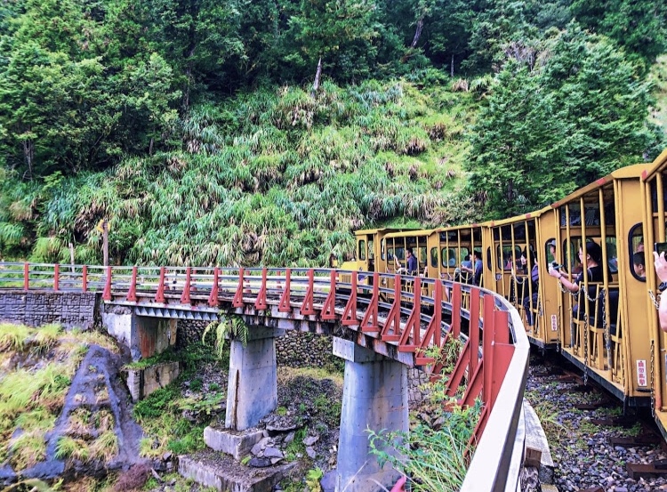 黃色觀光小火車穿越山區鐵橋