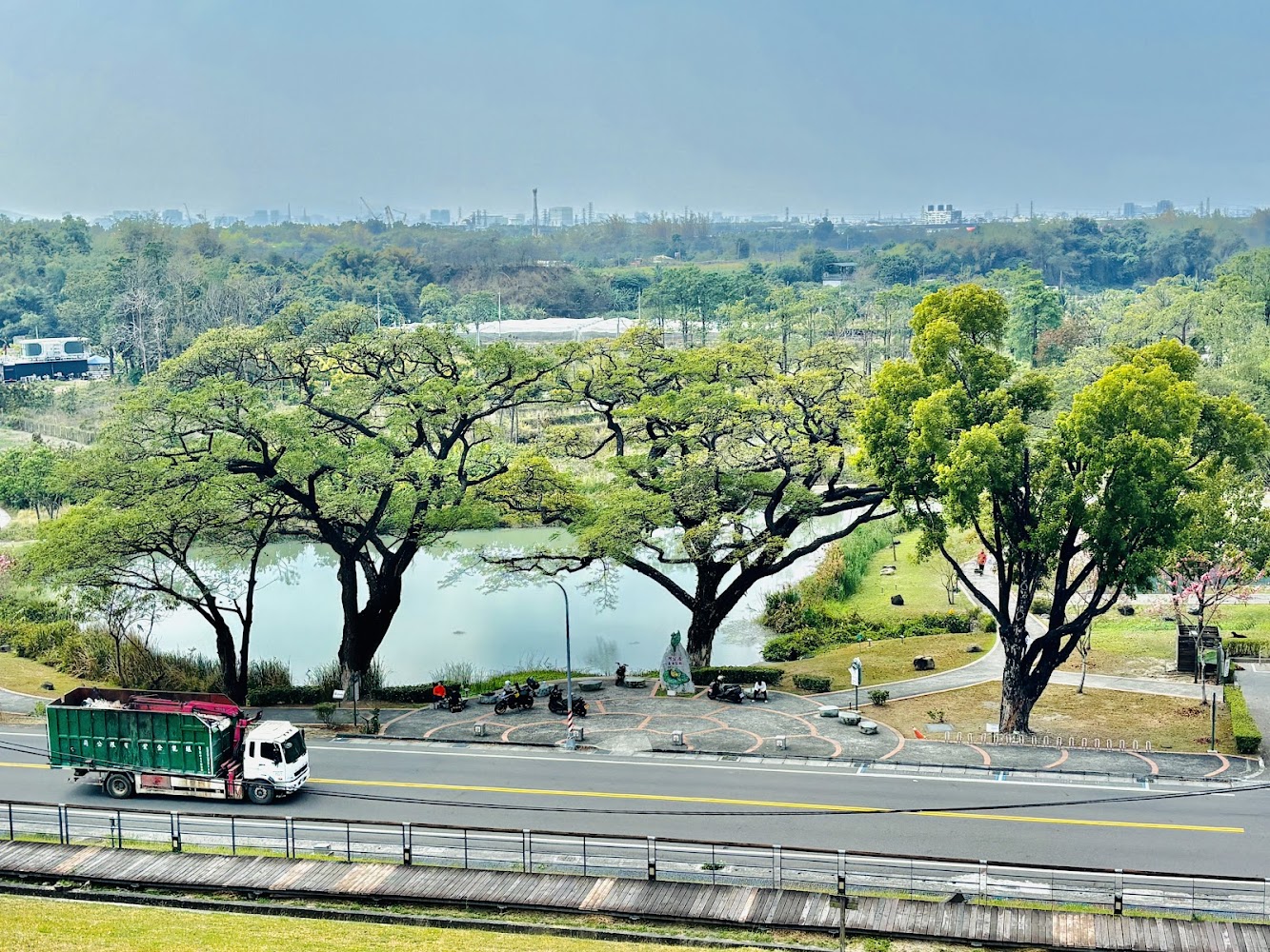 大樹與湖泊公園景色呈現悠閒活動氛圍