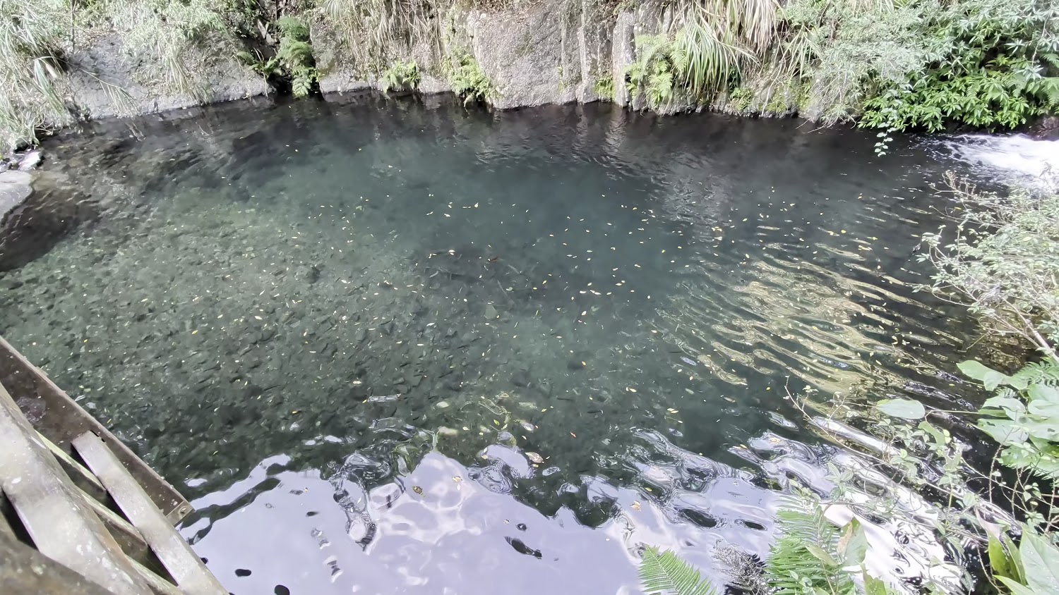 老鷹溪步道沿線清澈天然水池
