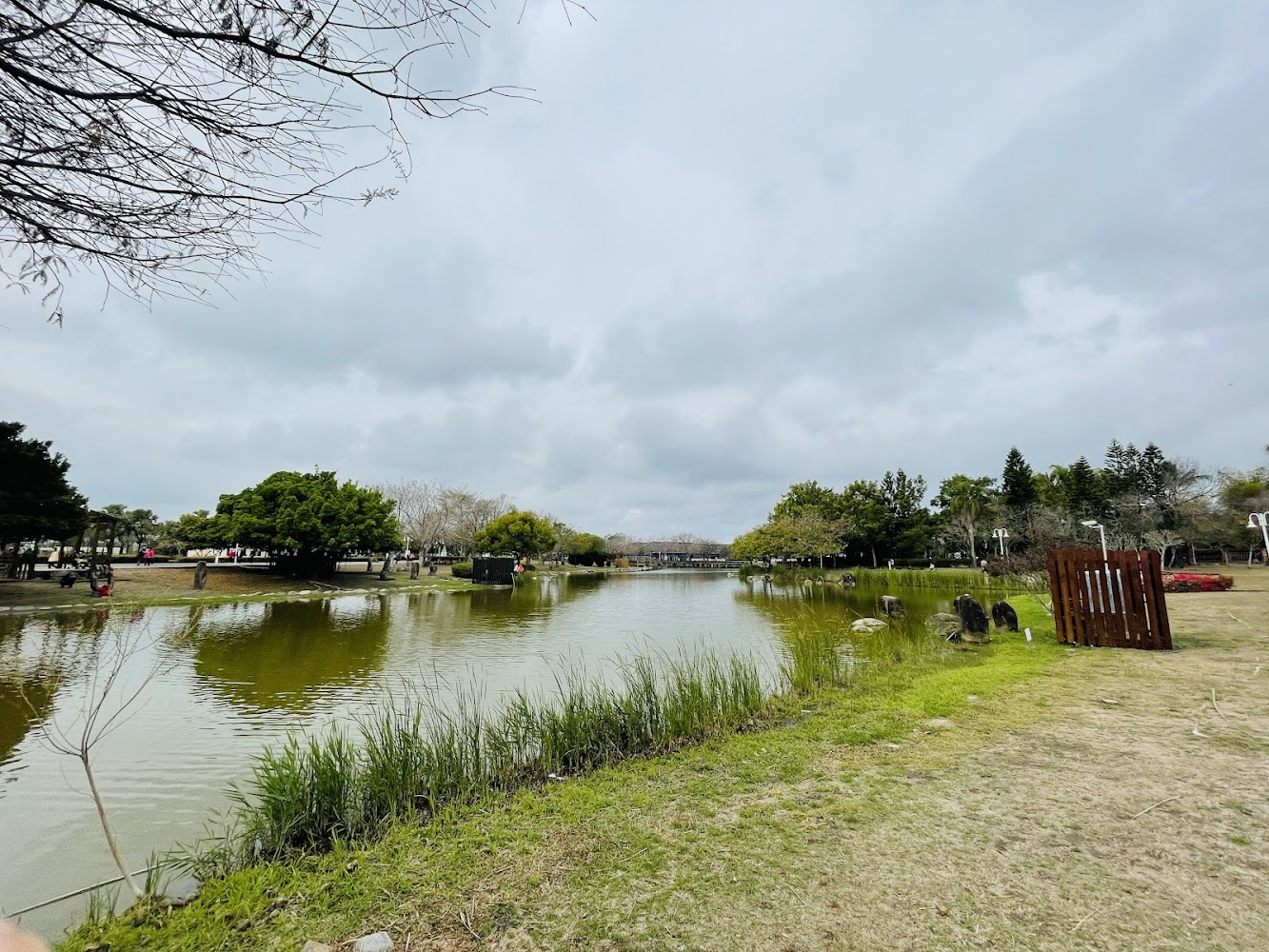 溪州公園湖景與草地。