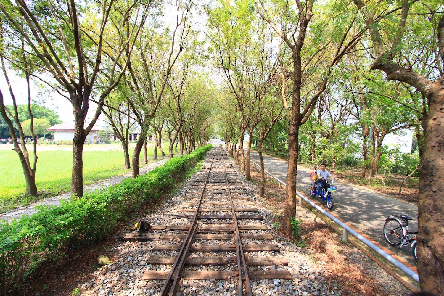 被樹木包圍的鐵軌旁有自行車道