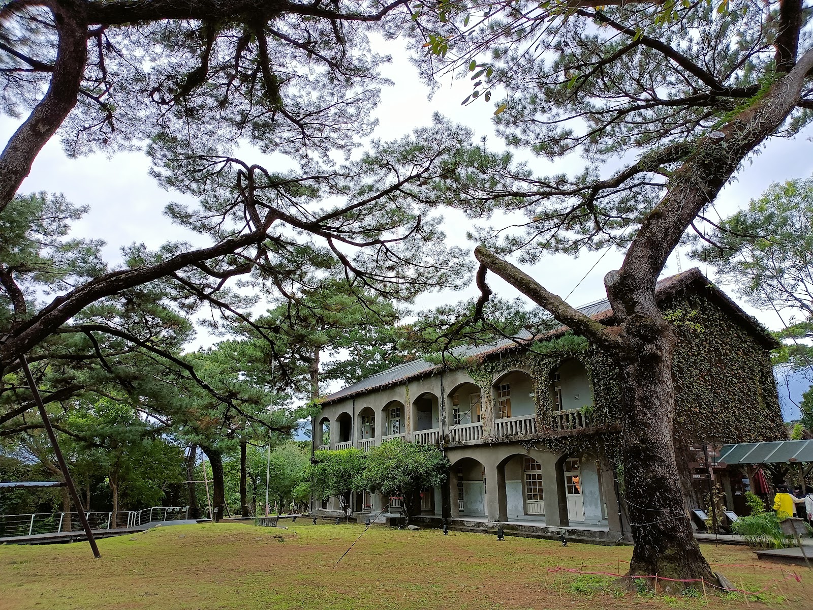 松園別館百年松樹枝幹前景與建築遠景陰天氛圍