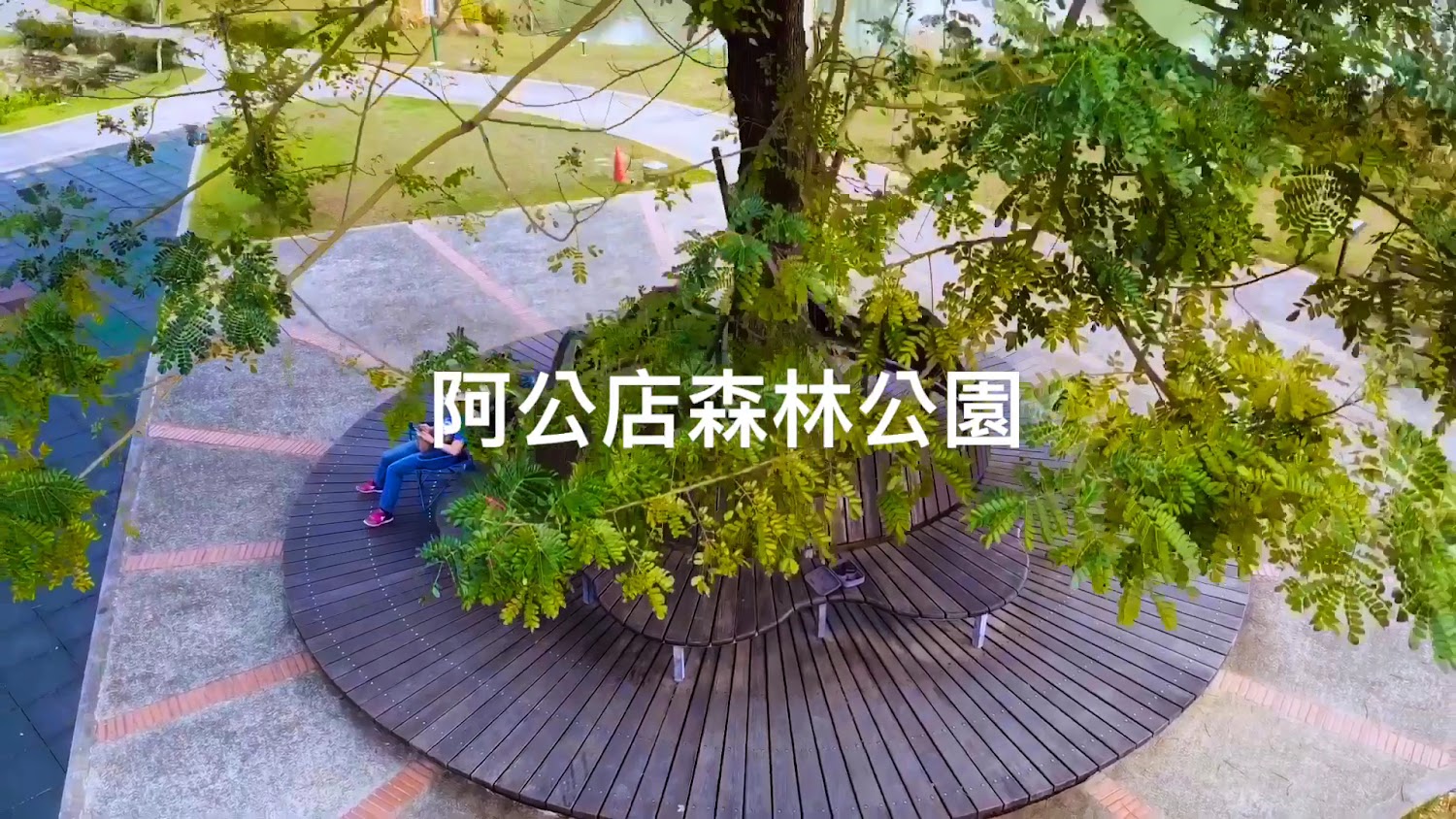 阿公店森林公園樹下休憩空間