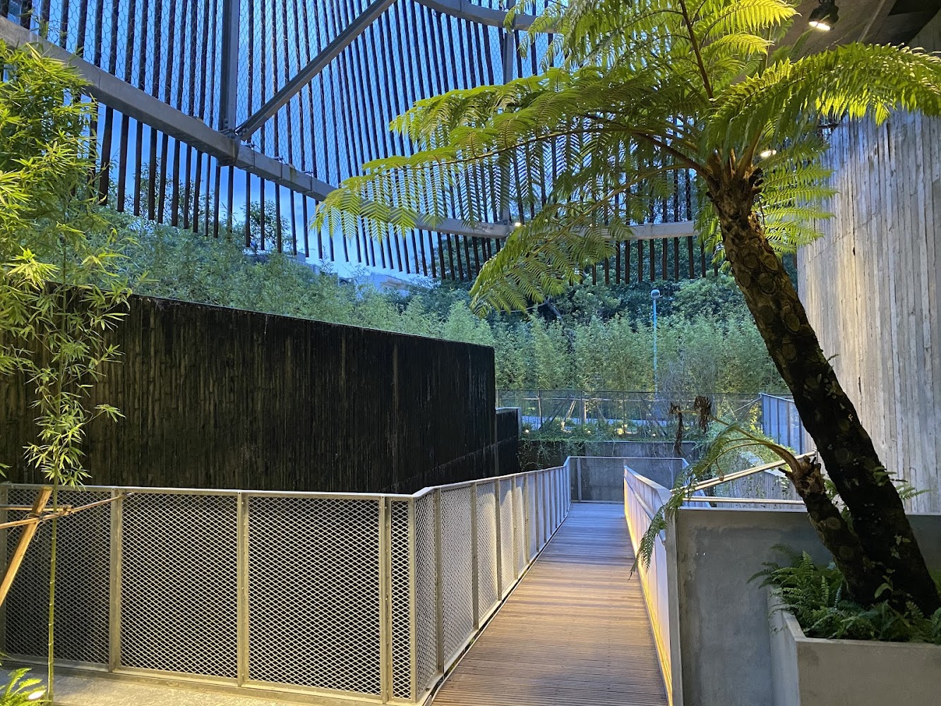了了礁溪戶外步道與竹林景觀