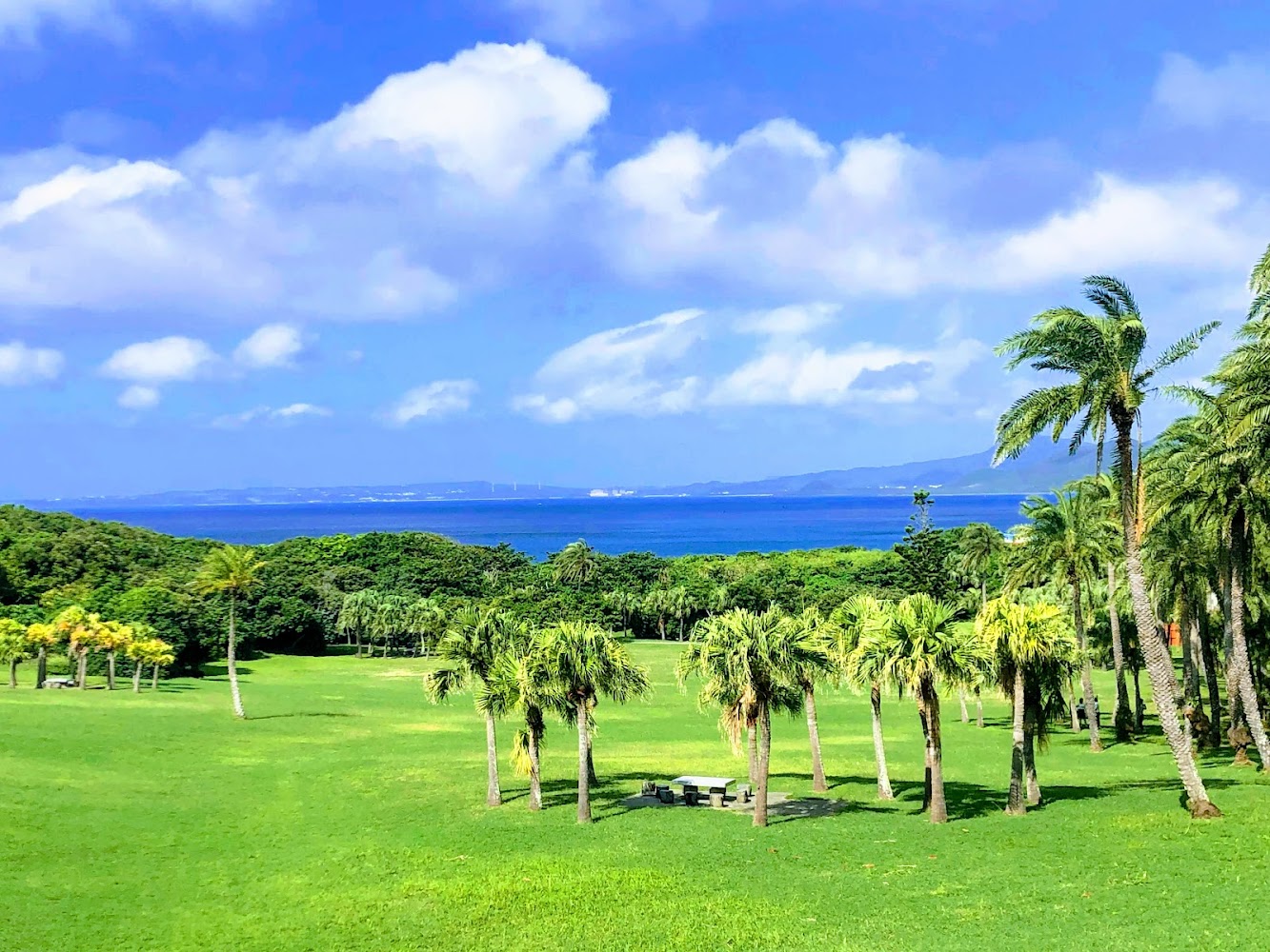 墾丁國家公園椰子樹草地與海景