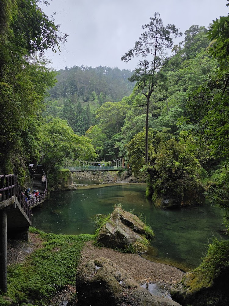 杉林溪湖水與森林環繞的靜謐景致