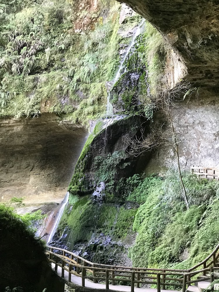 青苔覆蓋的瀑布與彎曲木棧道