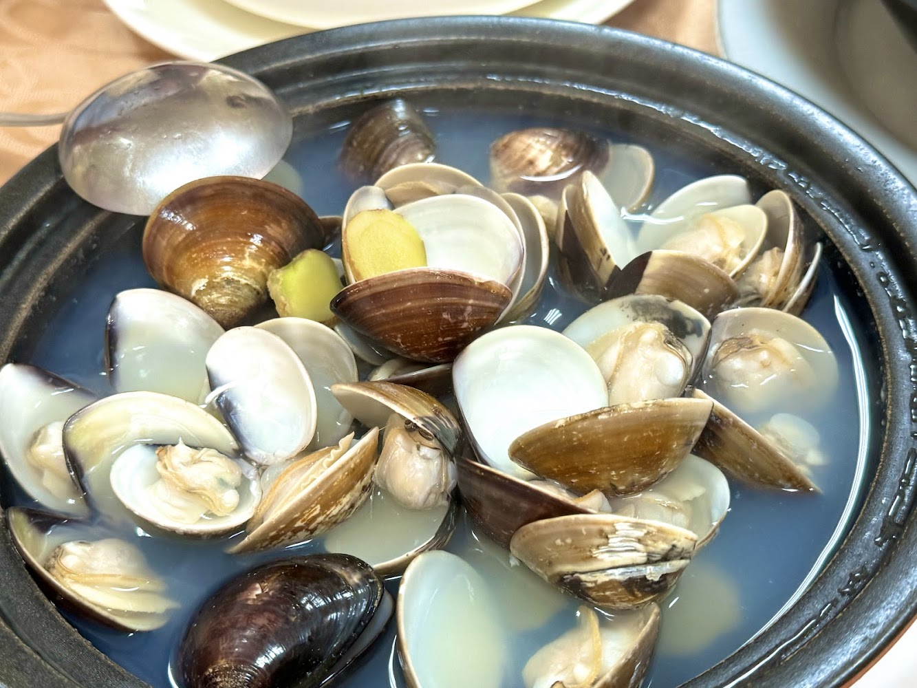 砂鍋蛤蜊湯與清澈湯頭