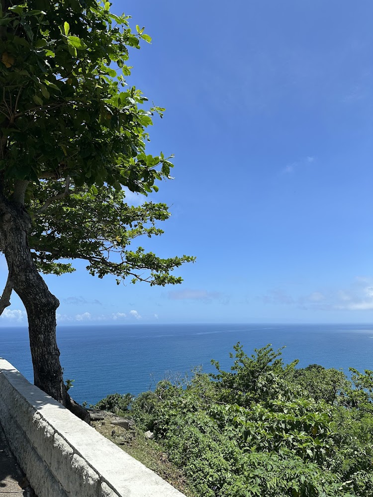 大樹植物與白色欄杆海景