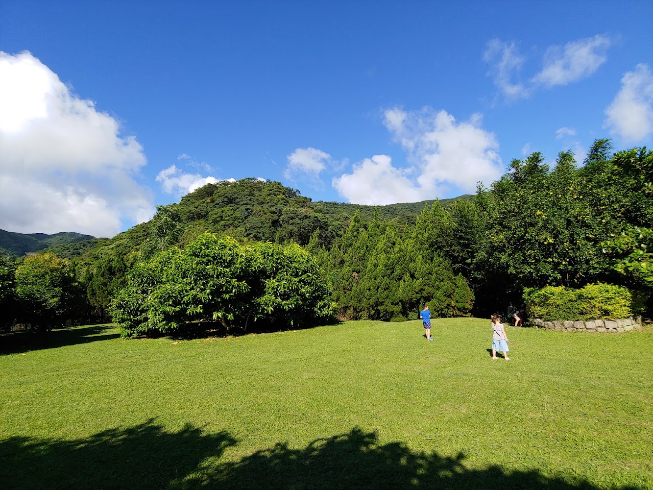 千蝶谷昆蟲生態農場大片草地與山景