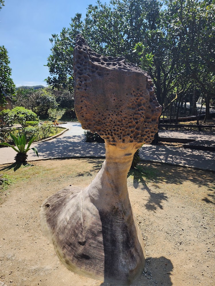戶外多孔洞奇特岩石與植物步道