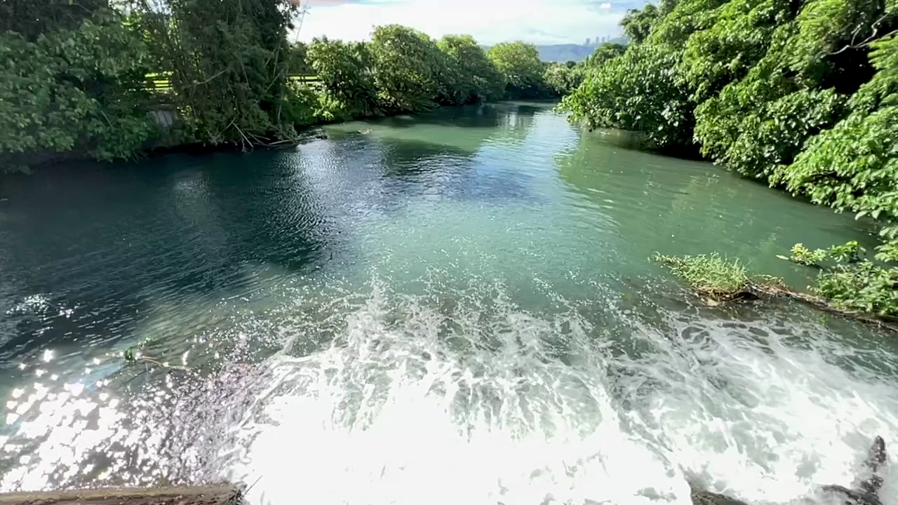 清澈河流前方有小型堰壩四周綠樹圍繞