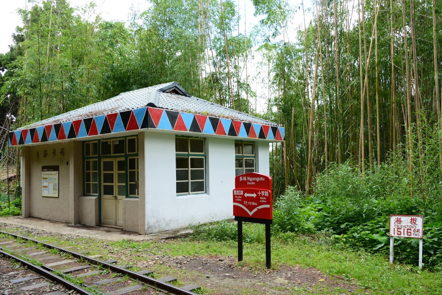 多林車站與竹林景色