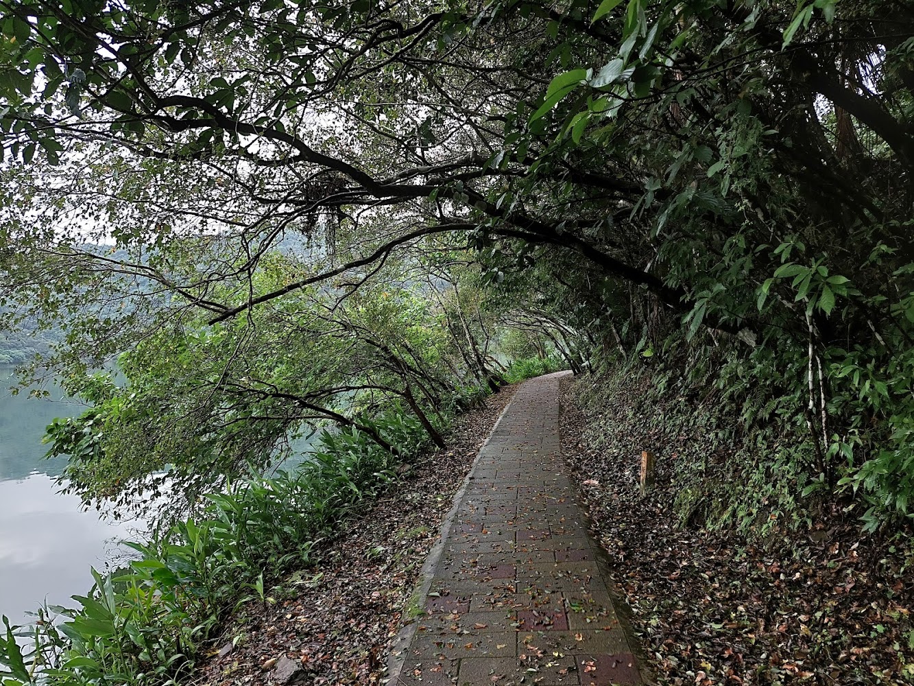 梅花湖綠蔭步道景色