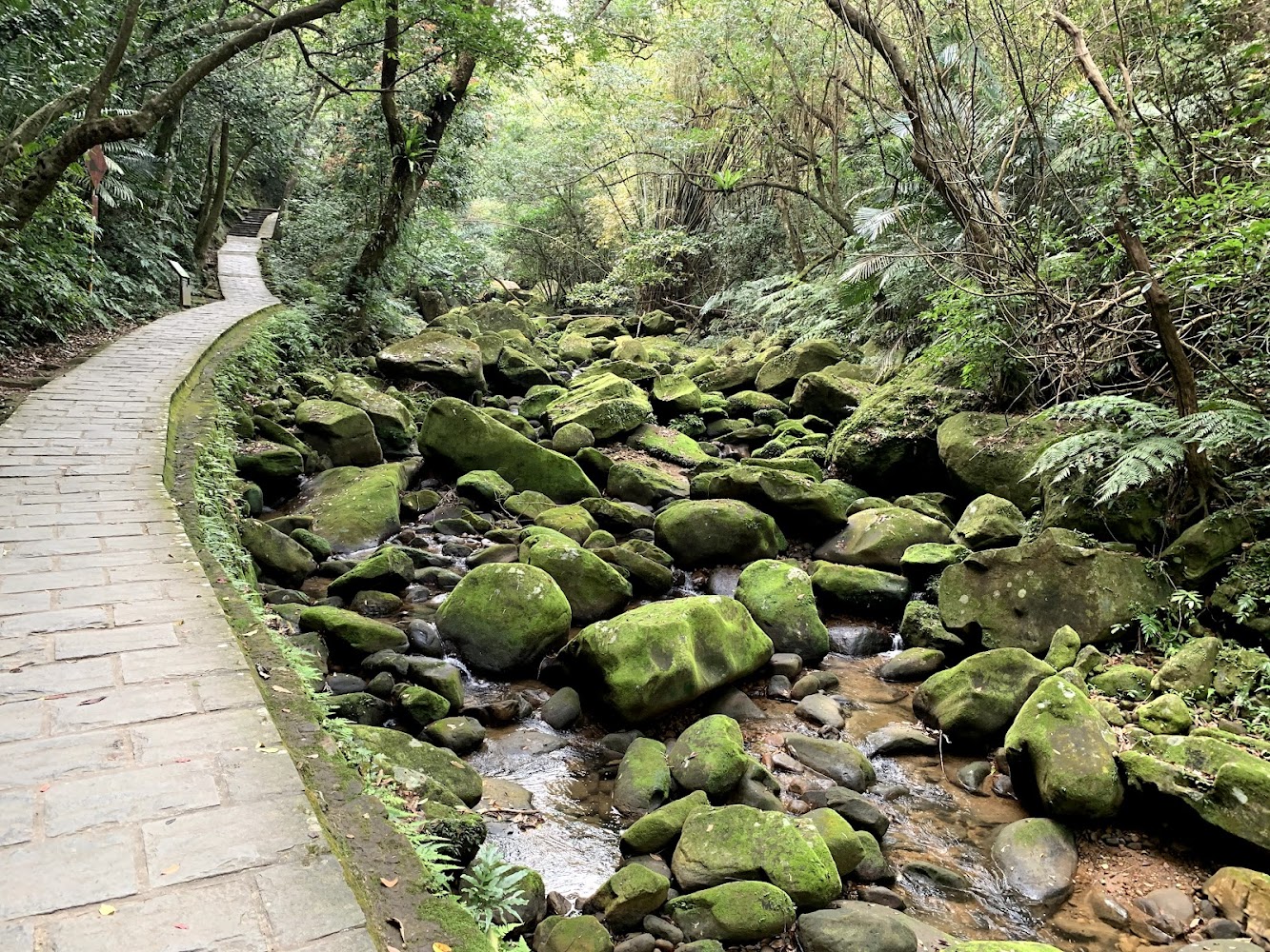 大溝溪生態治水園區溪畔步道