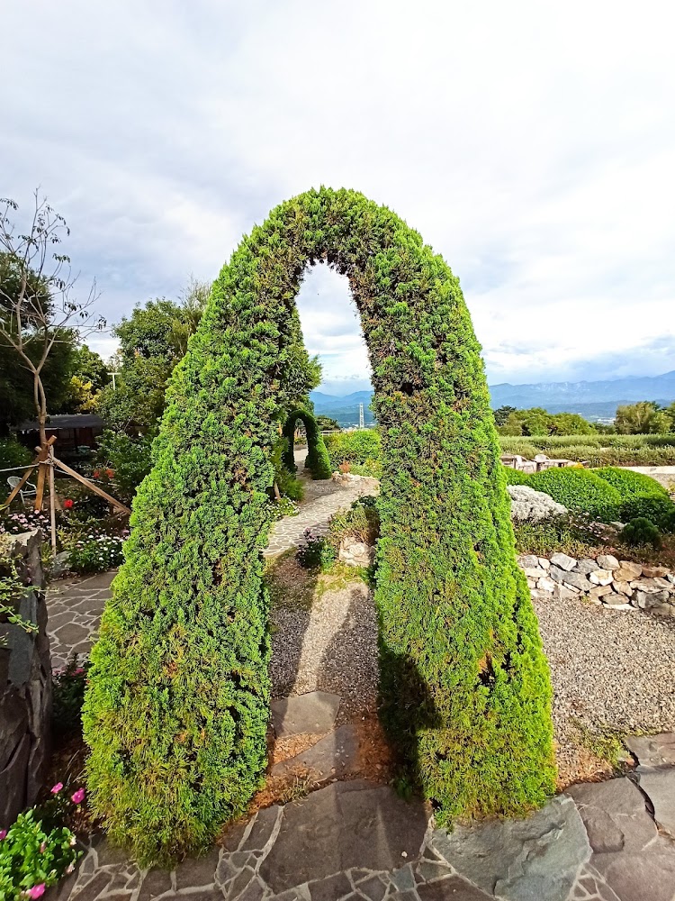 29號花園綠色灌木拱門步道