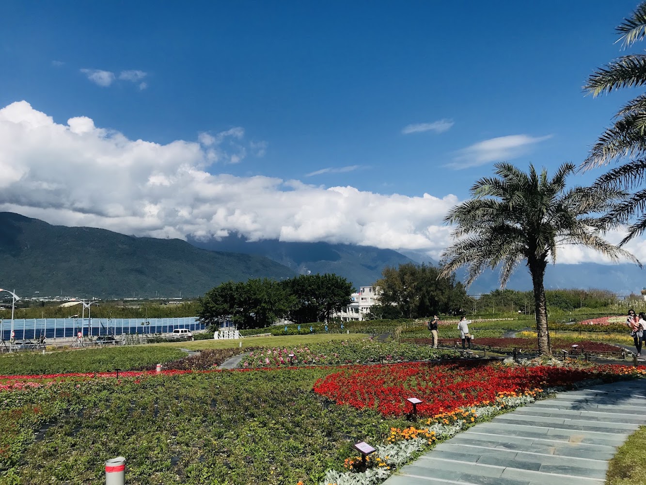 曼波海洋生態休閒園區花園與山海景