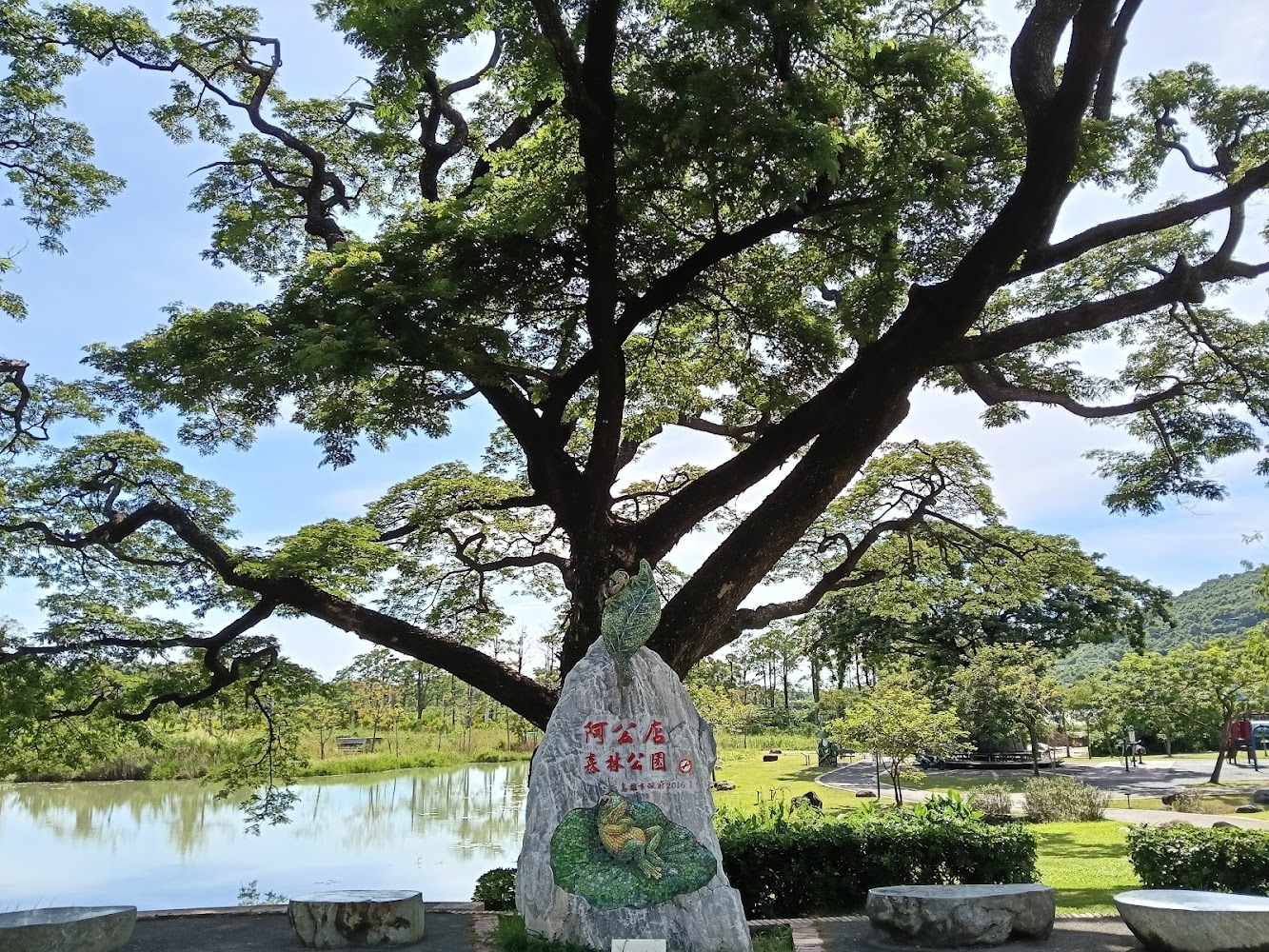 阿公店森林公園大樹湖景