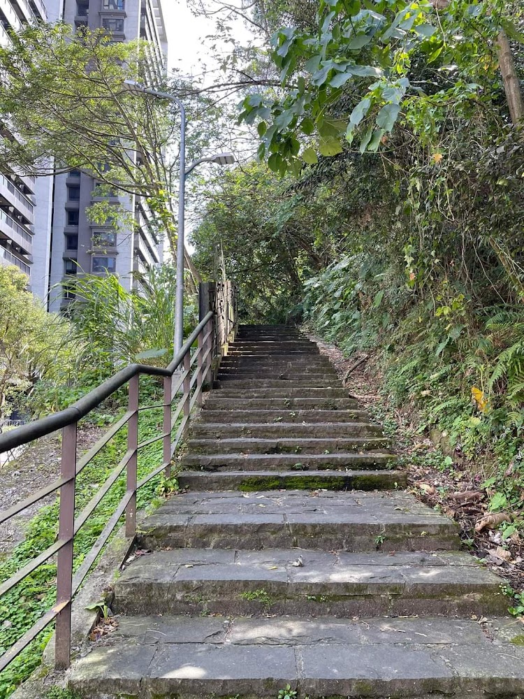 碧湖步道石階與林蔭