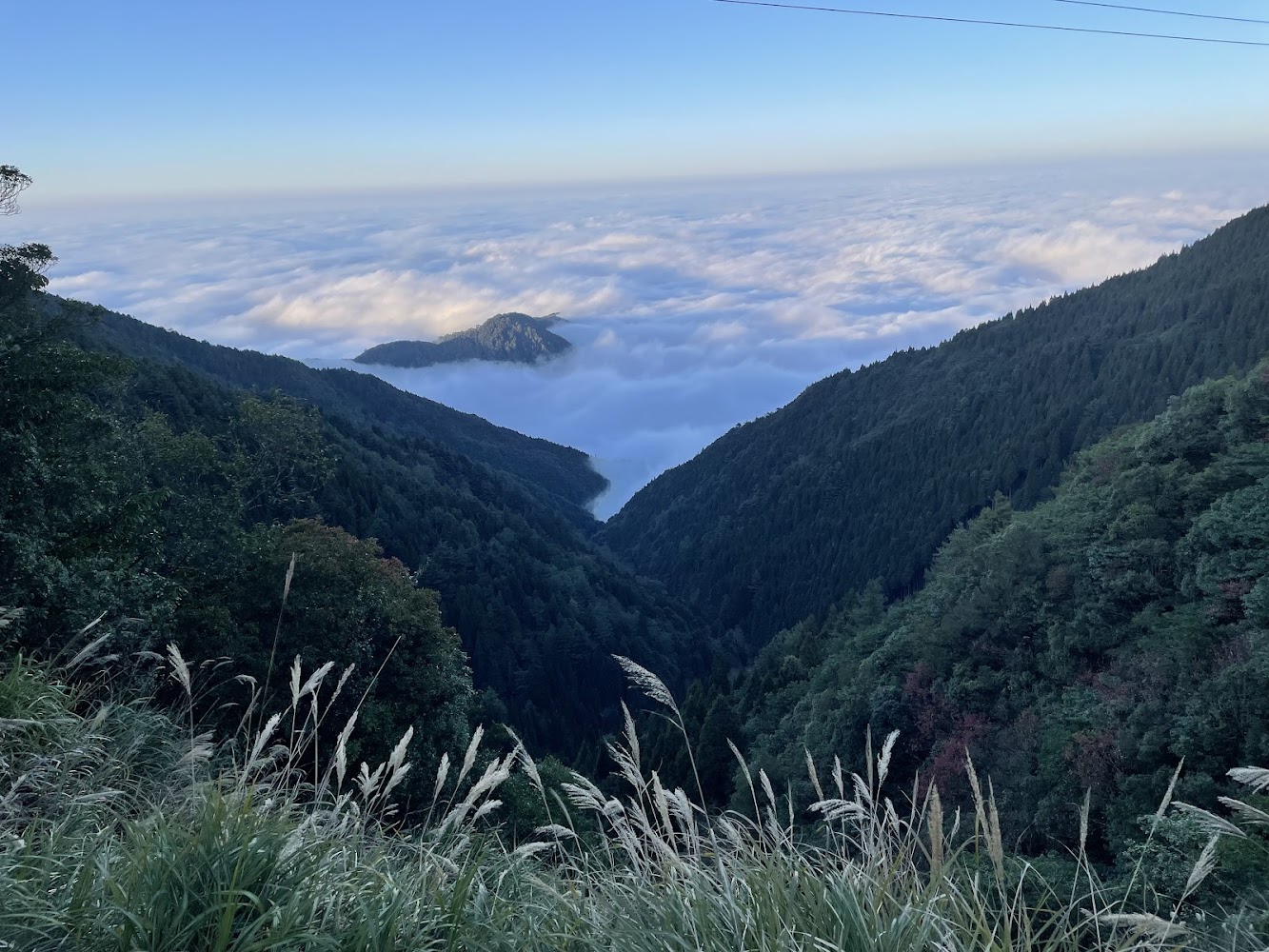 觀霧山椒魚生態中心周邊山谷雲海景觀