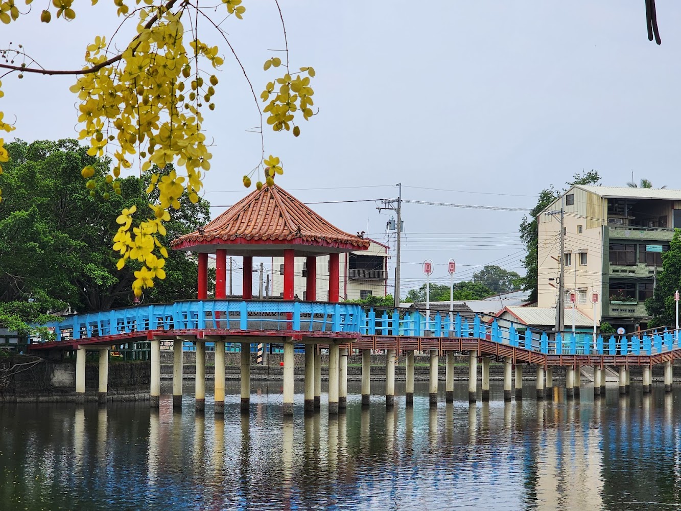 中林湖湖上涼亭與藍色木橋景致