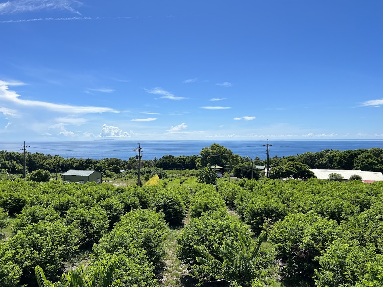 太麻里周邊綠意農田與遠方海景