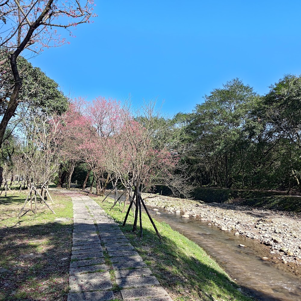 磺溪頭清水園區石板步道與花樹景觀