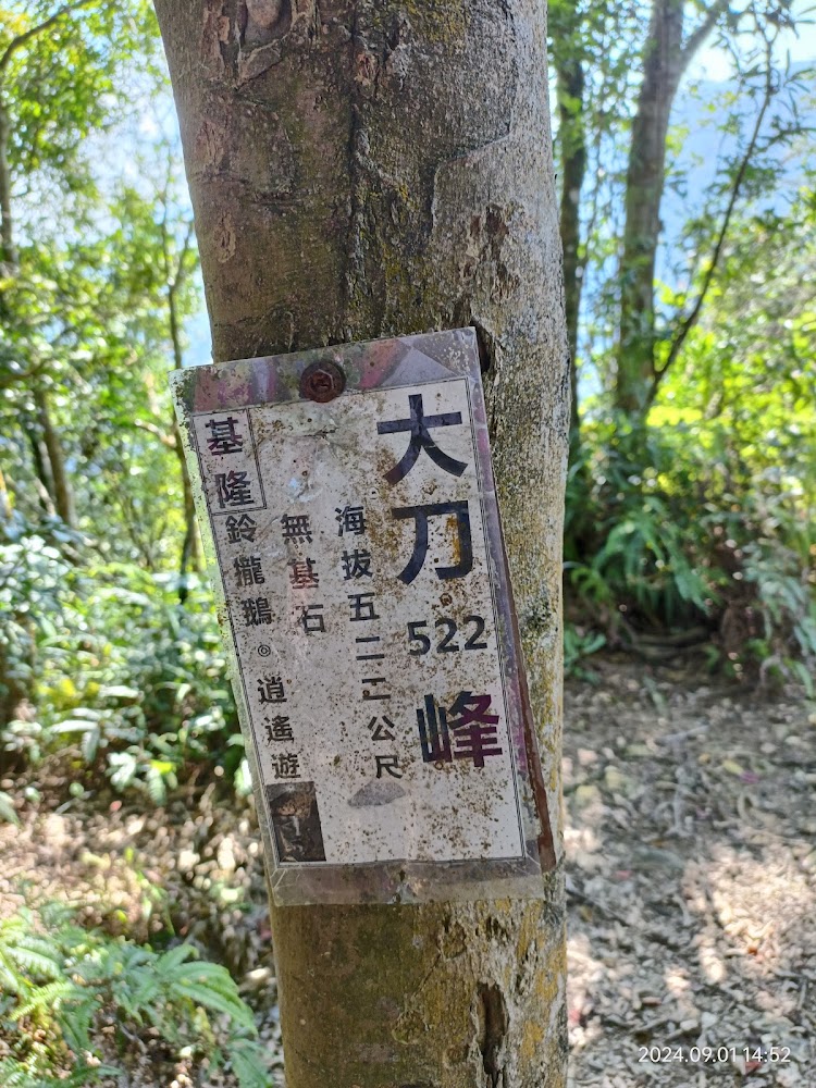 樹幹上掛著大刀峰522指標