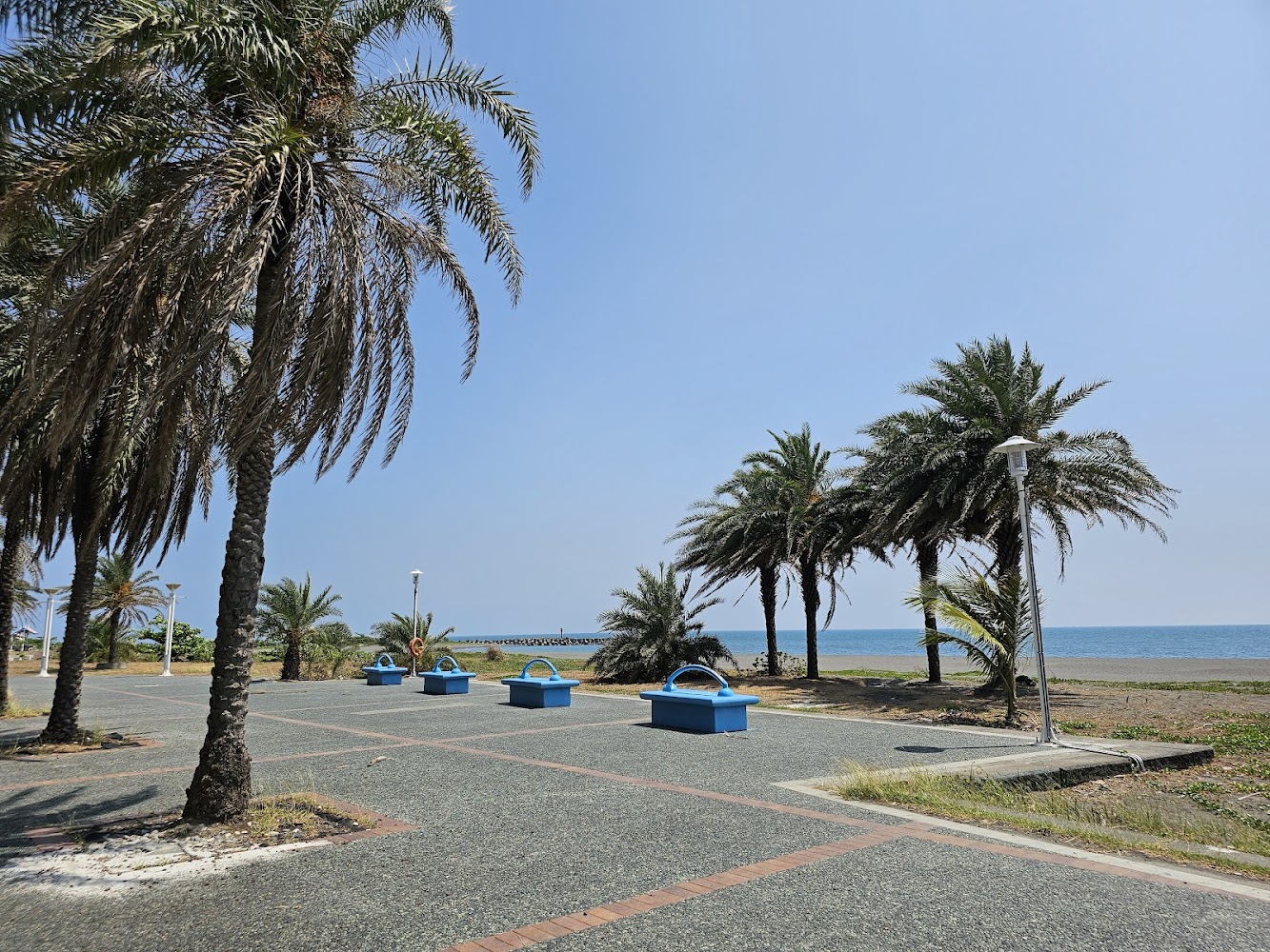 棕櫚樹、海灘和藍色座椅的海邊公園景色