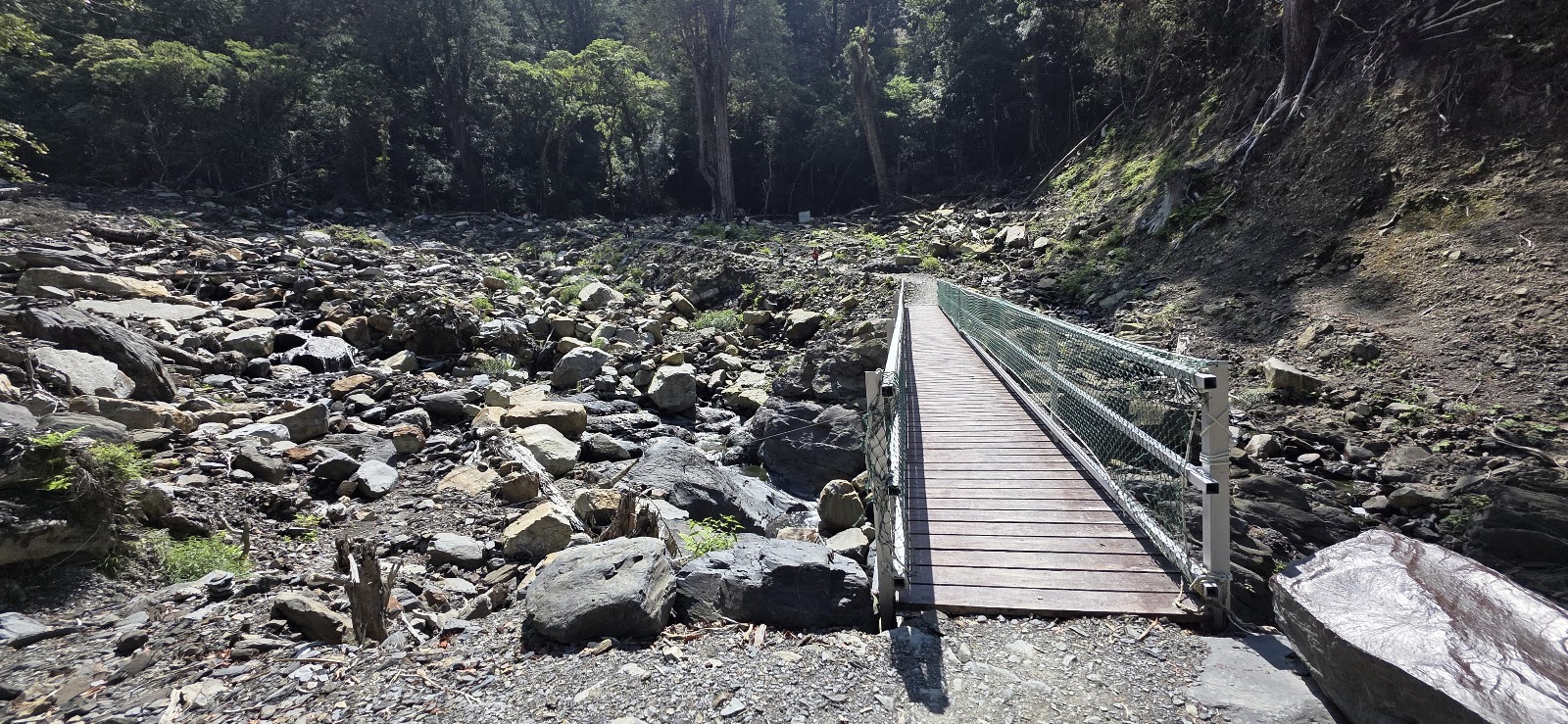 司馬庫斯巨木步道上的木板吊橋橫跨巨石河床，橋面深紅色木板，對岸原始森林蒼翠