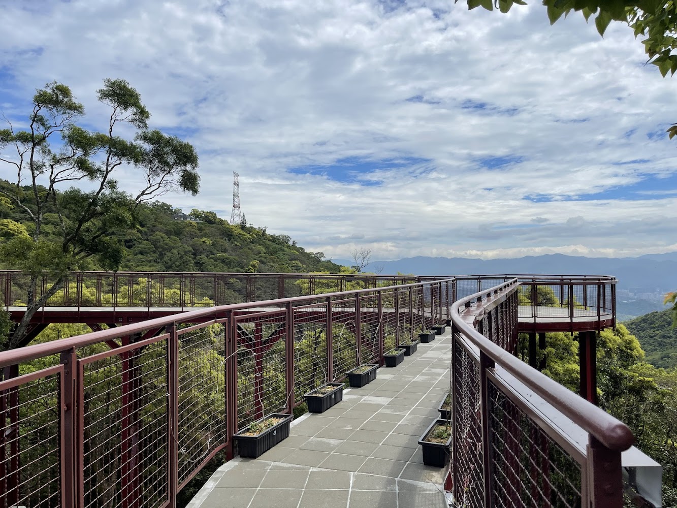 碧山露營場森林高架步道