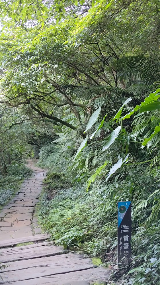 石板步道旁有賞螢步道指示牌