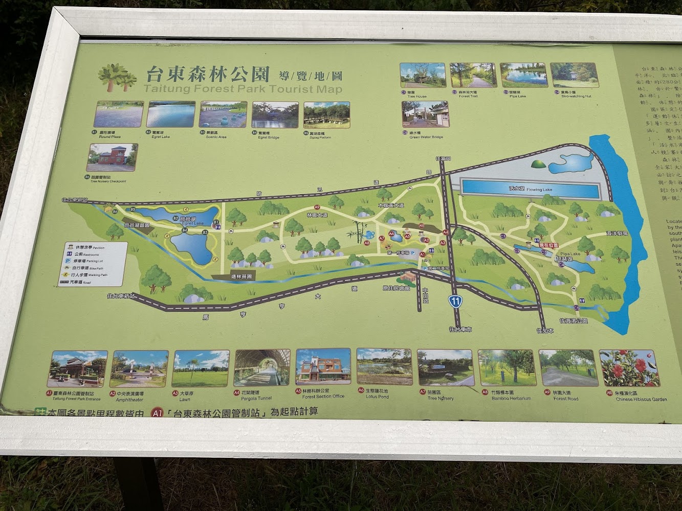 台東森林公園導覽地圖