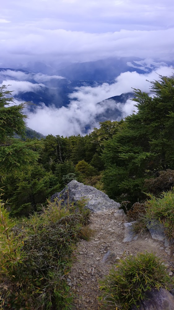 山徑兩側有樹林與灌木遠方可見山谷與雲霧