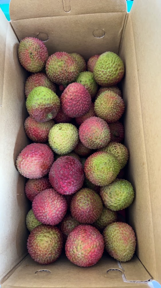 紙箱中裝滿新鮮玉荷包荔枝
