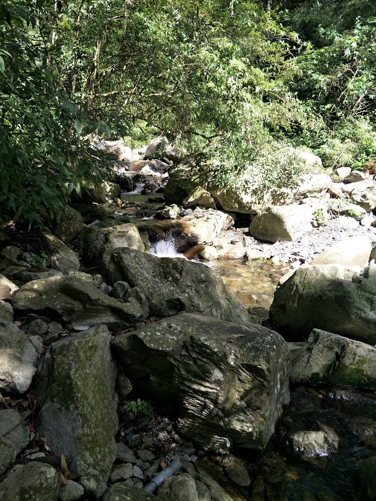 屋我尾山附近清澈溪流與青苔岩石
