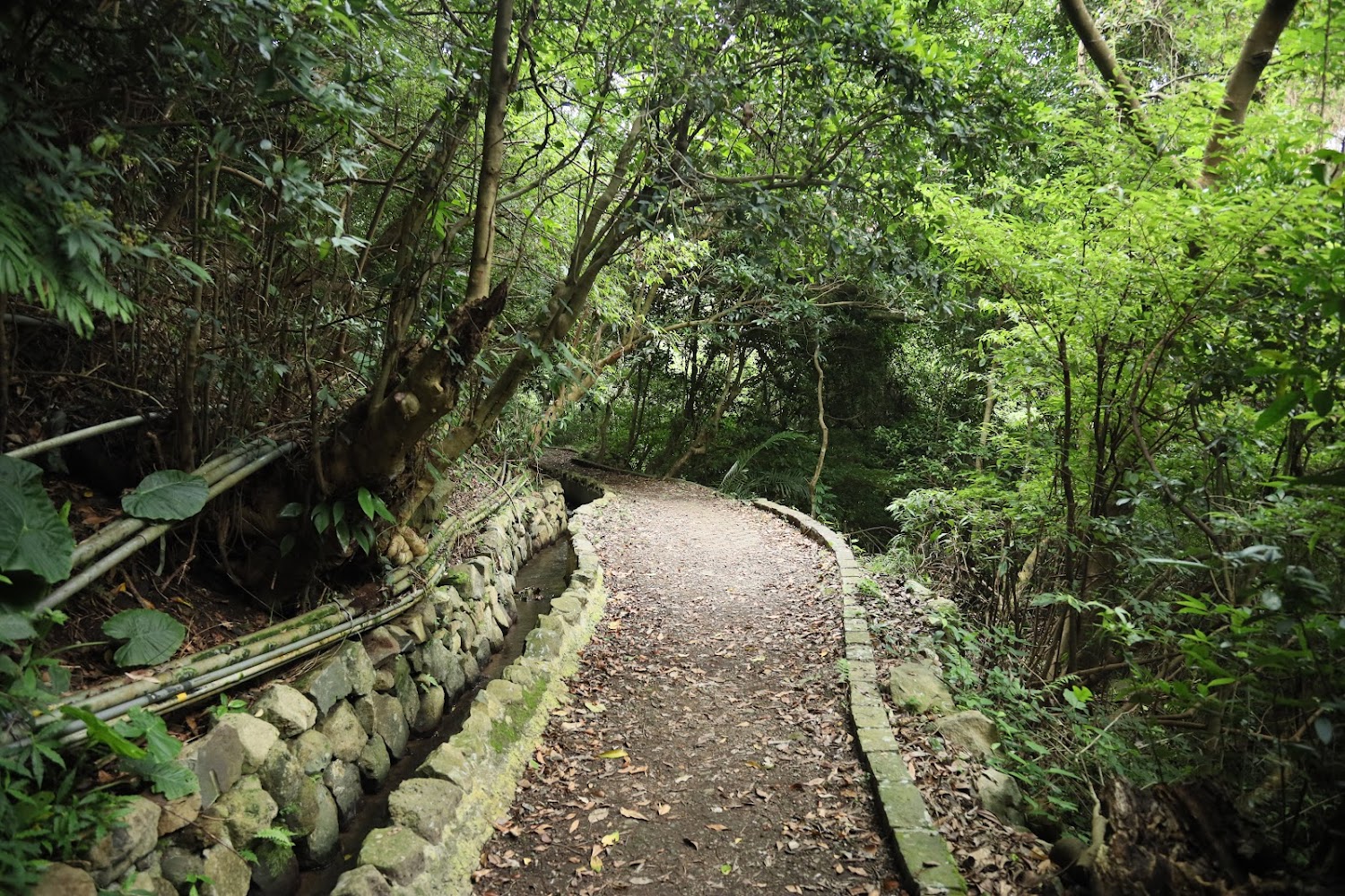 十八份水圳步道森林小徑