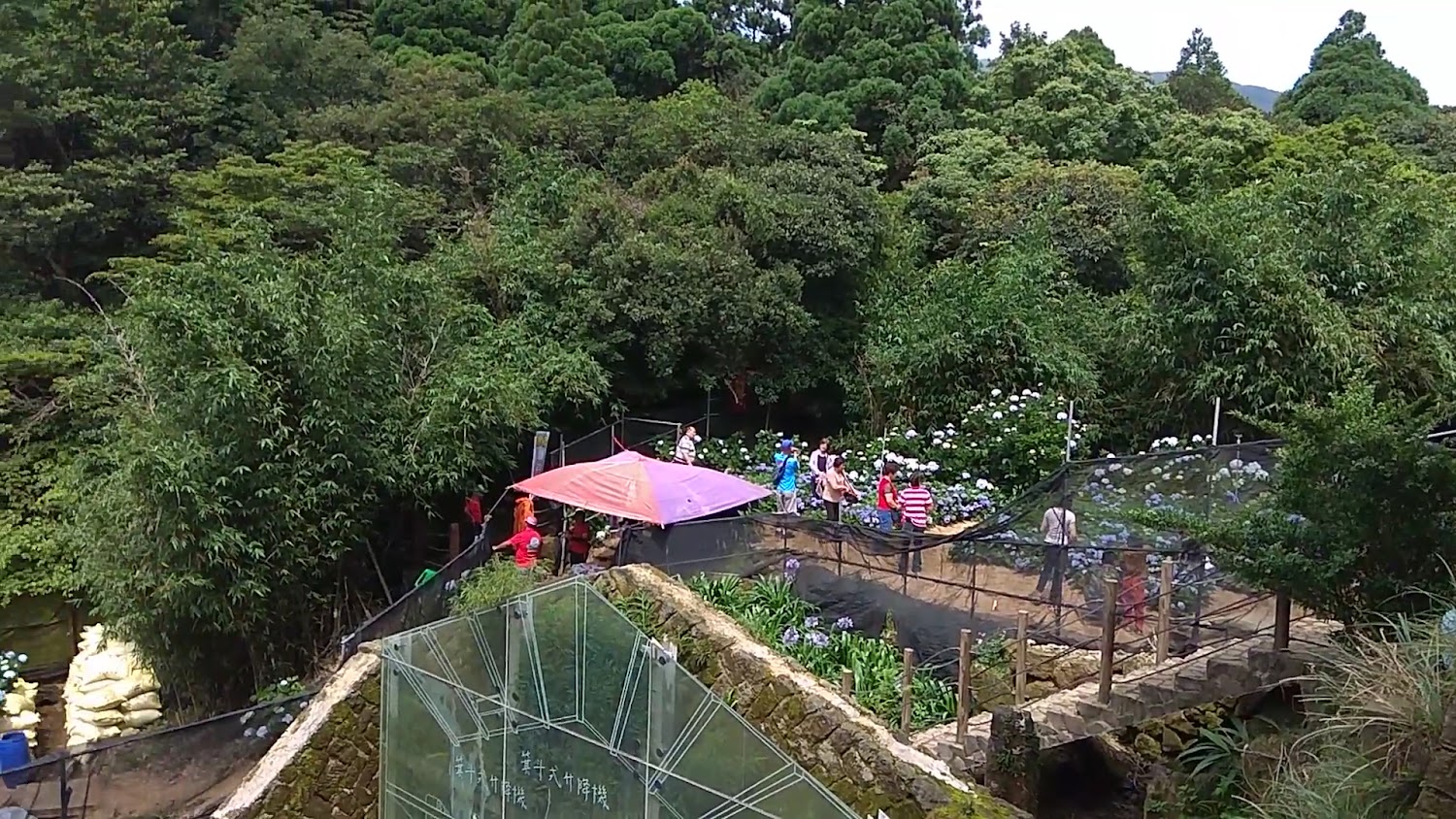 水車寮繡球花園山區花園與遊客