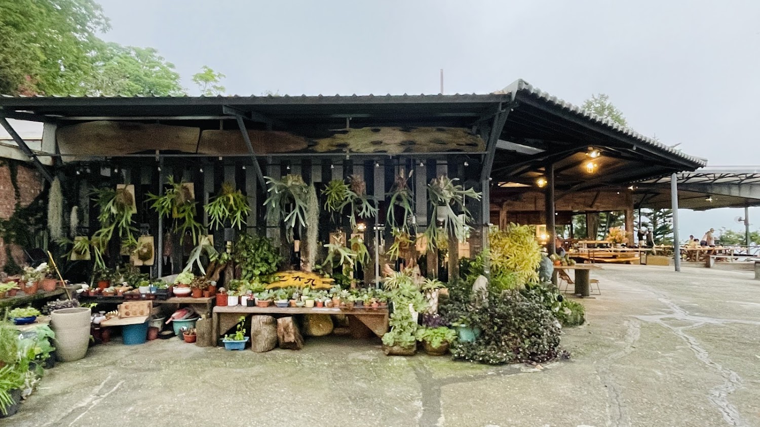 戶外咖啡廳前方植物盆栽屋簷下垂掛植物與用餐座位