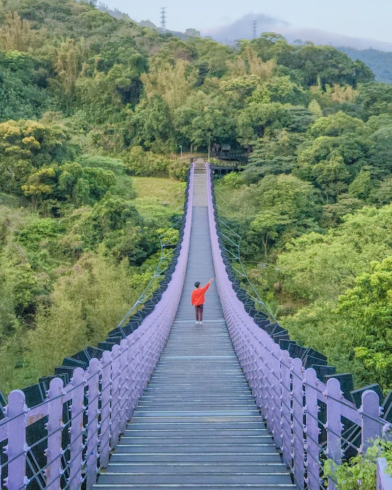 紫色白石湖吊橋橫跨青翠山林