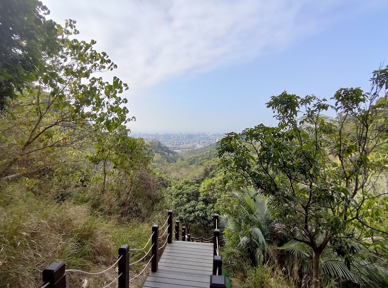 大坑十號登山步道眺望城市景觀