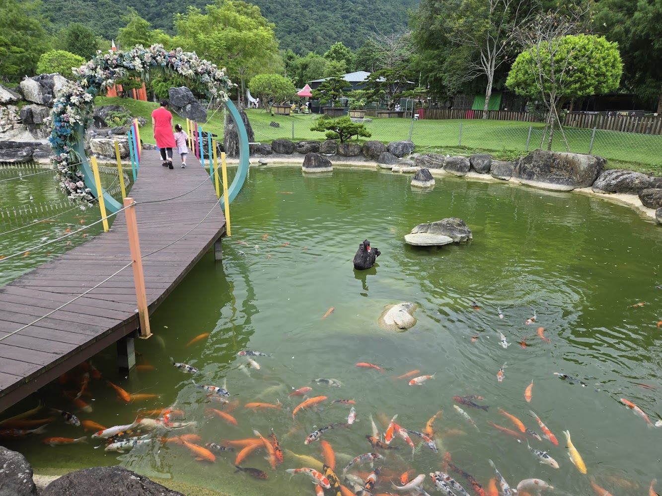 園區池塘上方有花圈裝飾木橋，池中可見錦鯉與黑天鵝