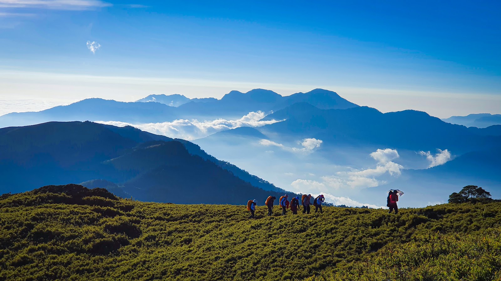合歡山稜線一列登山隊伍並排前行，背景壯麗層疊山脈與白色雲海翻湧