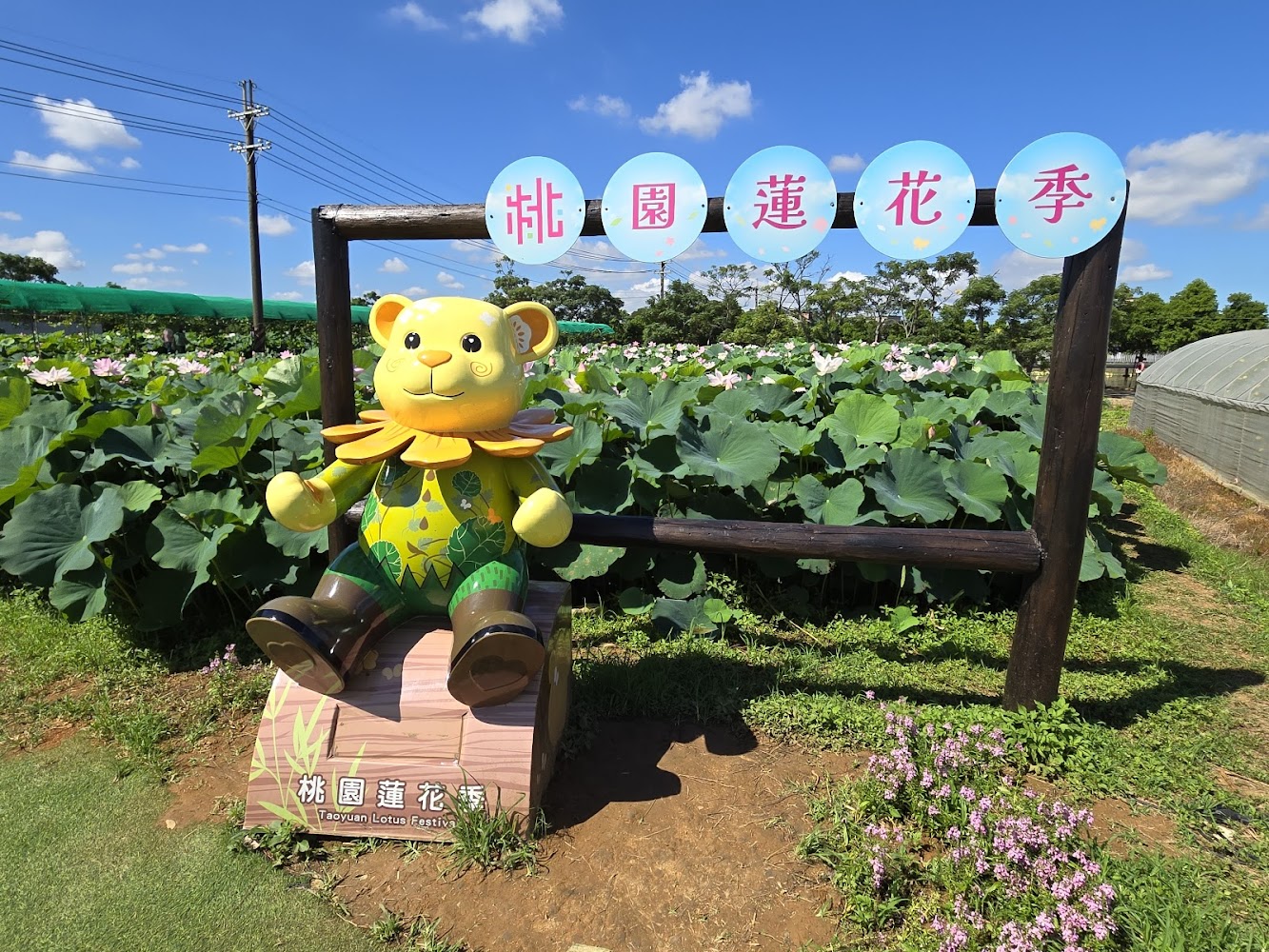 桃園蓮花季字樣與熊雕像