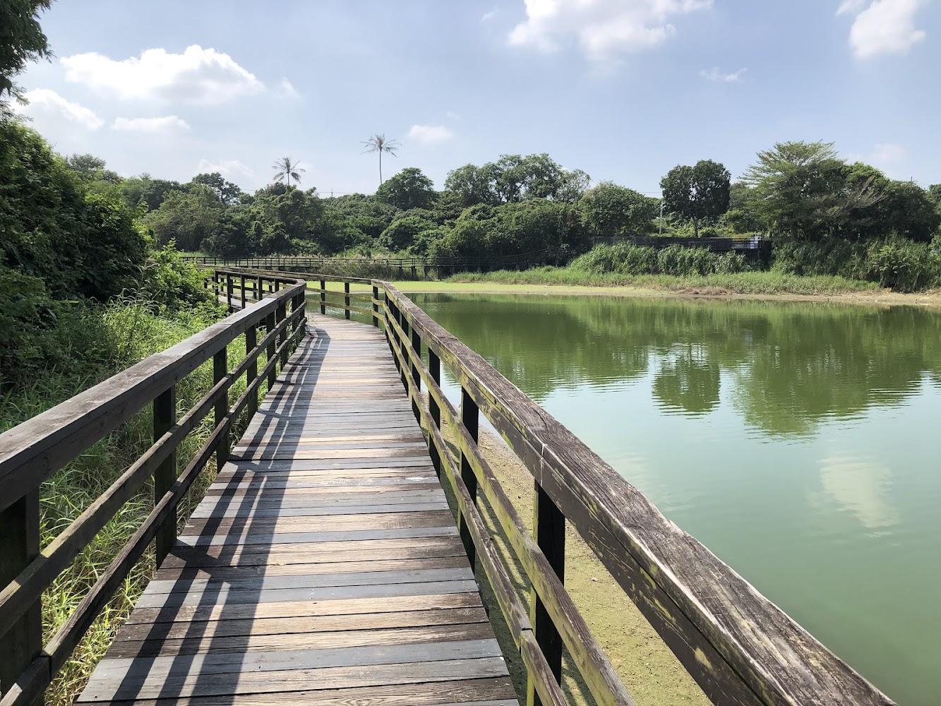 湖畔蜿蜒木棧道