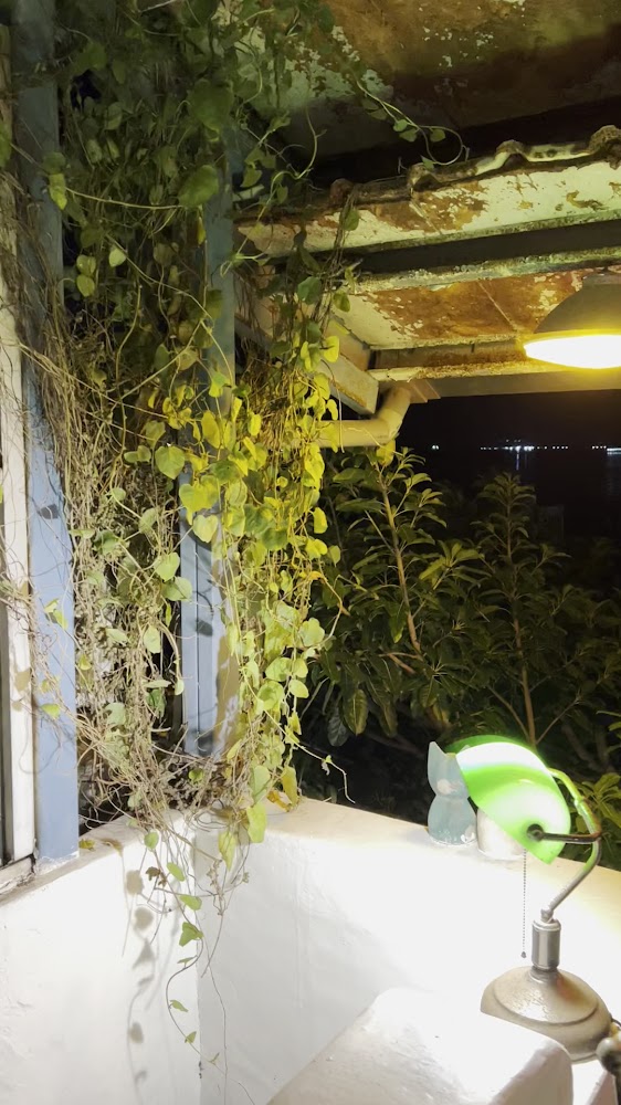 夜晚陽台角落吊燈植物與綠色檯燈