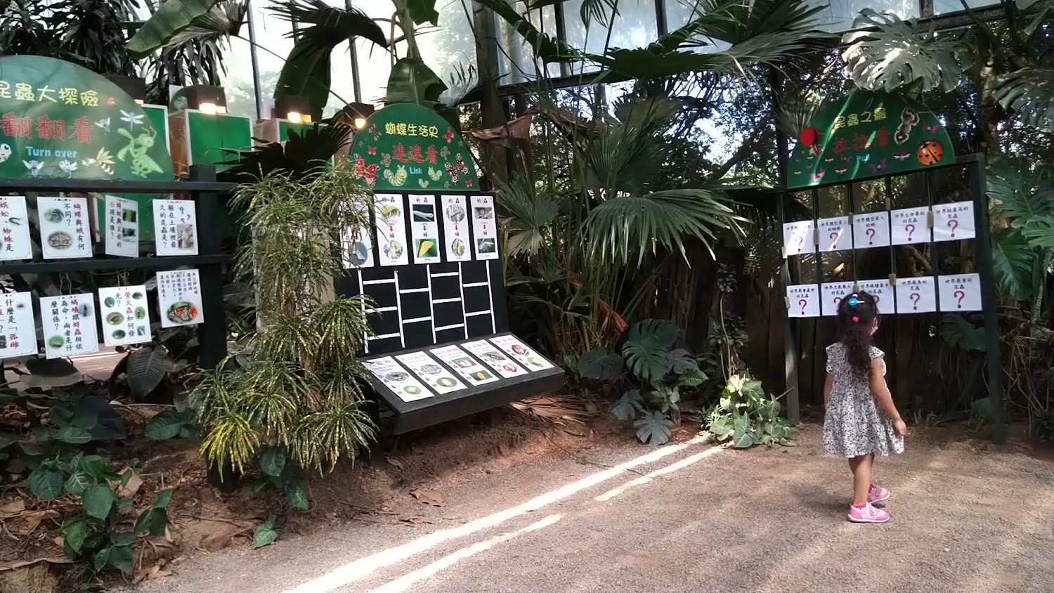 室內生態館展示昆蟲與蝴蝶生活週期