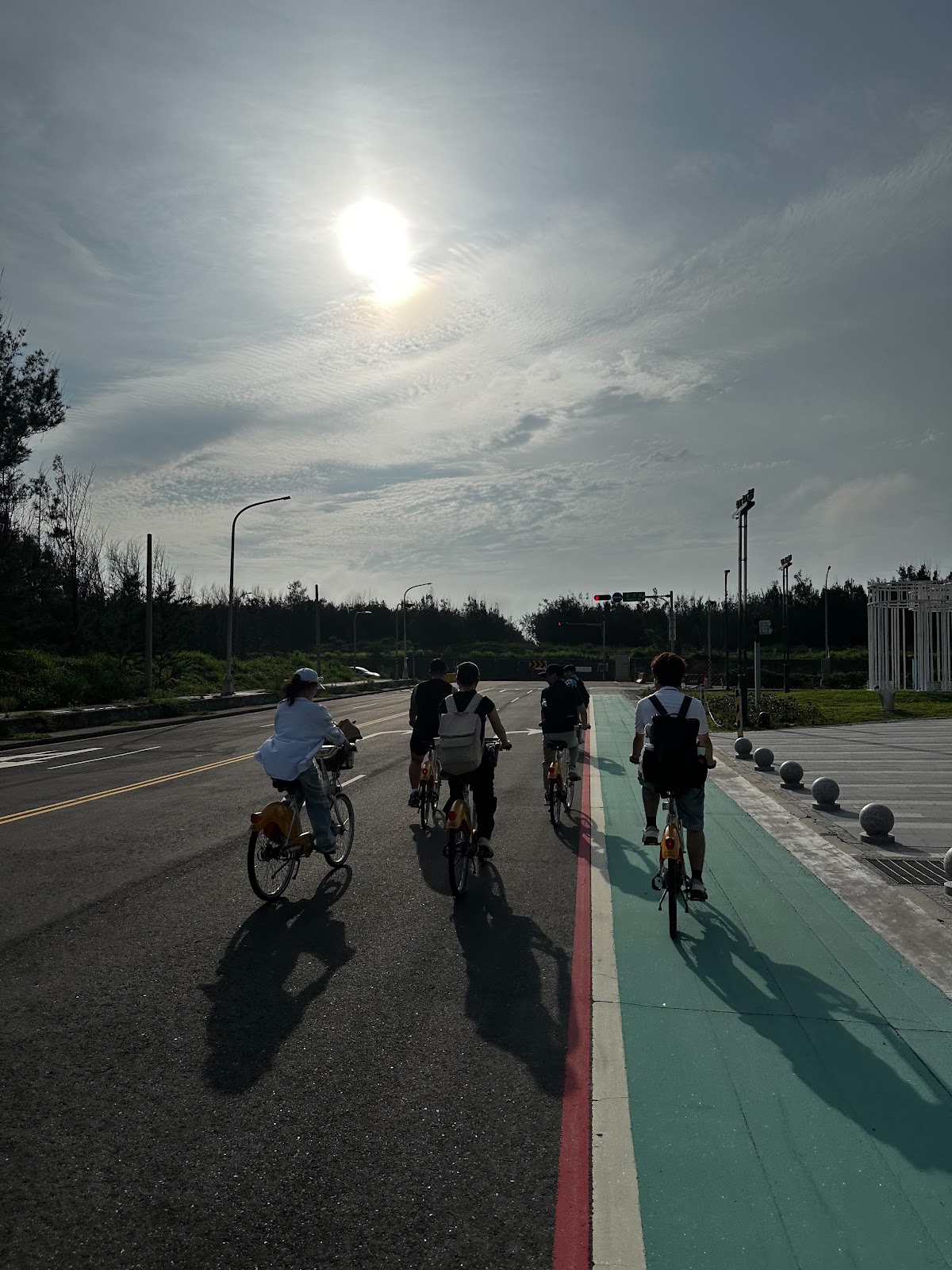 遊客騎腳踏車在高美濕地濱海自行車道,逆光剪影,夏日陽光