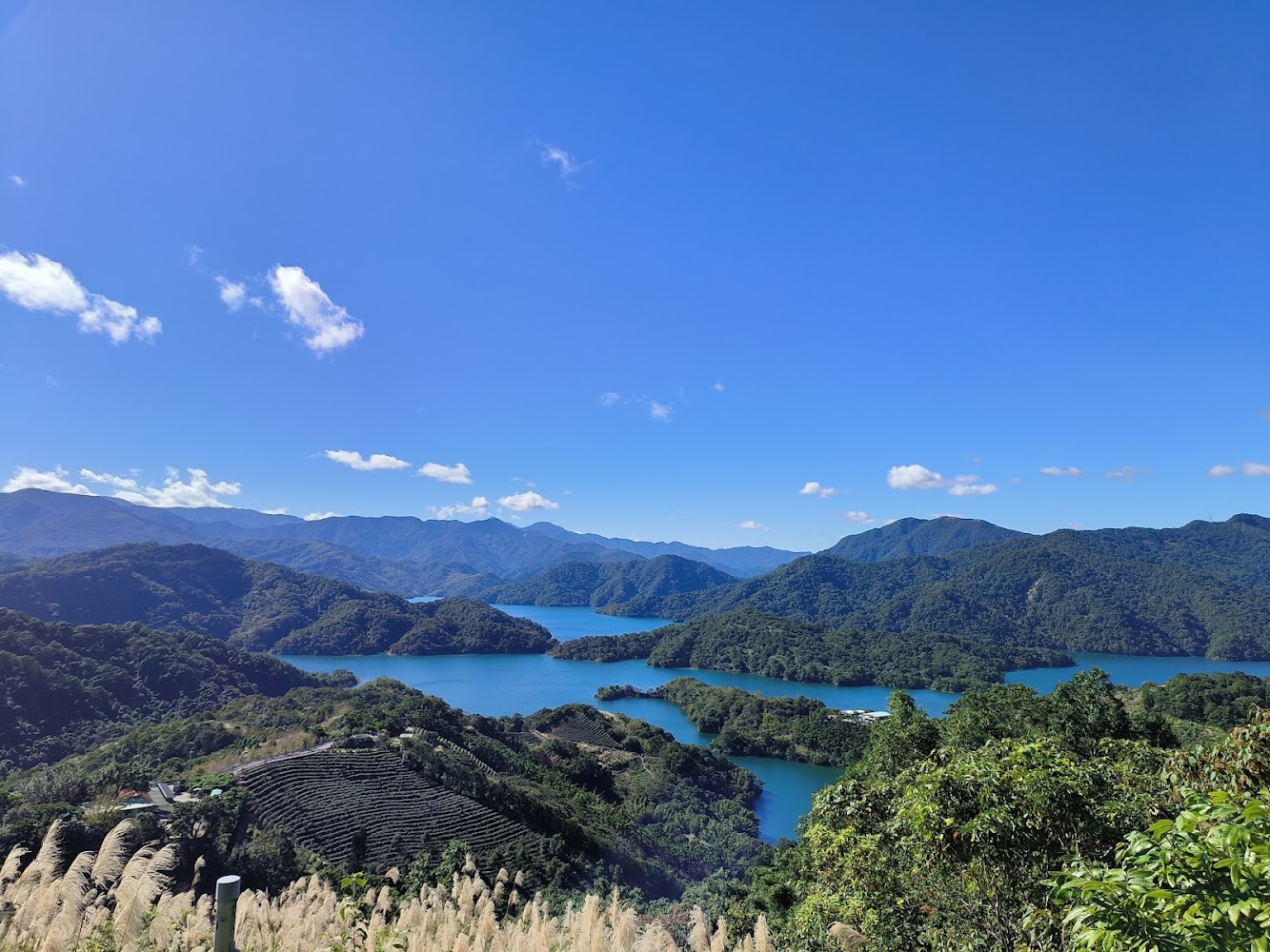 八卦茶園景觀台遠眺山景湖泊與茶園